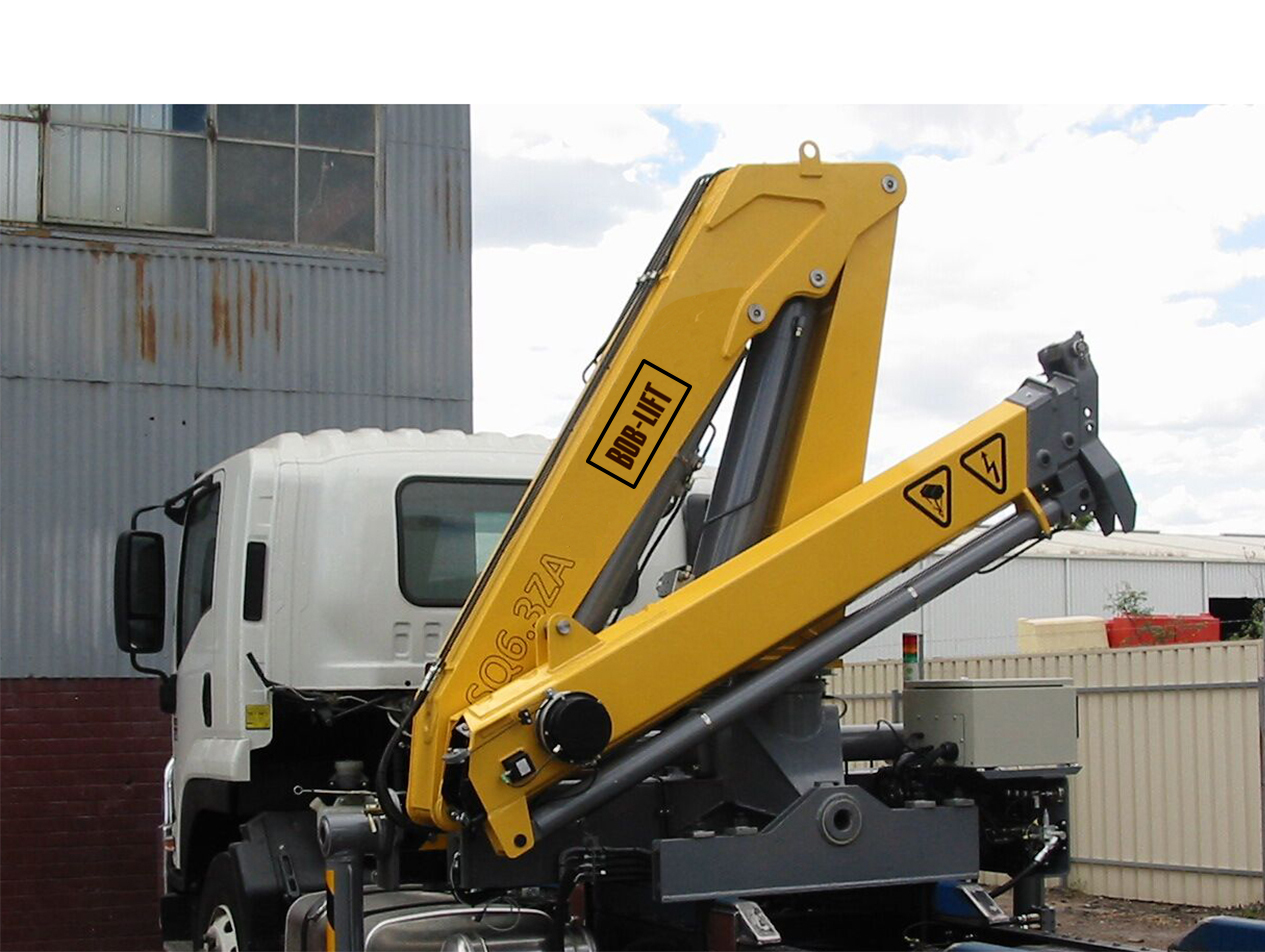 6.3 ton crane (3)